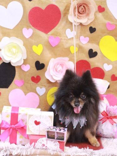 20230219レオンくん